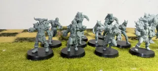 Equipo Blood Bowl Nórdicos Resina