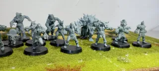 Equipo Blood Bowl Nórdicos Resina