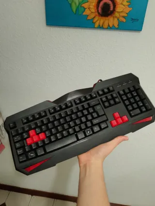 Teclado Mars Gaming Negro y Rojo de membrana