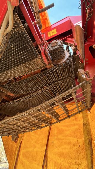 Cosechadora de patatas GRIMME 75-55