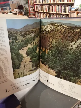 Colección Life en castellano encuadernada de 1966