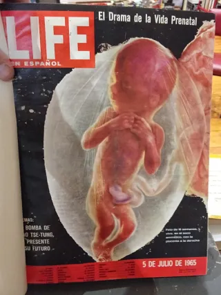 Colección Life en castellano encuadernada de 1965