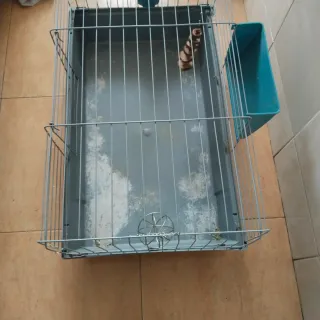 Jaula y accesorios para conejo