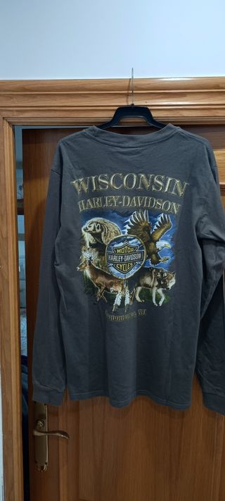Camiseta Harley-Davidson Manga Larga Gris