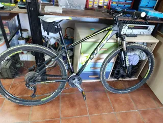 Bicicleta Montaña WST 29er