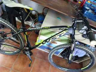 Bicicleta Montaña WST 29er