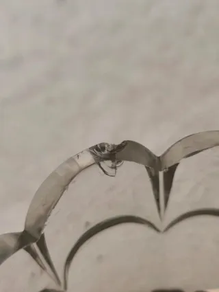 Salero antiguo de plata y cristal