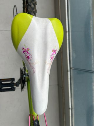 Bicicleta junior 26 pulgadas verde