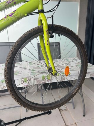 Bicicleta junior 26 pulgadas verde