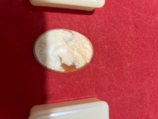 Set 3 Camei Autentici in Conchiglia Sardonica