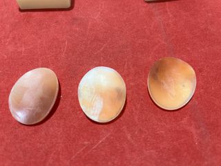 Set 3 Camei Autentici in Conchiglia Sardonica