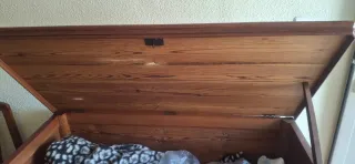 Arca huertana madera de morera