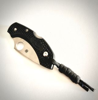 Spyderco Dragonfly 2, Brand New