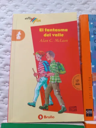 Libros infantiles recomendados en el colegio