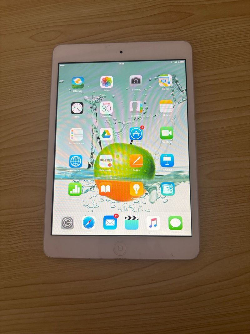 Apple iPad mini Plata/Blanco 1era generacion