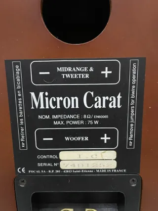 Altavoces Focal Hi-Fi Alta Gama