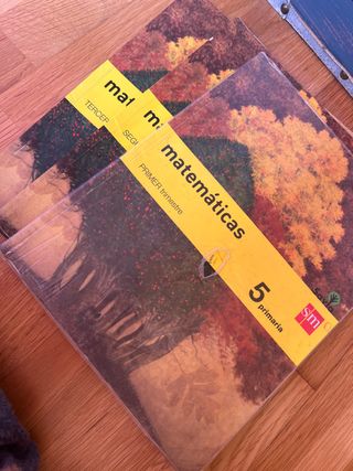 Matemáticas. 5 Primaria. Savia (Spanish Edition)