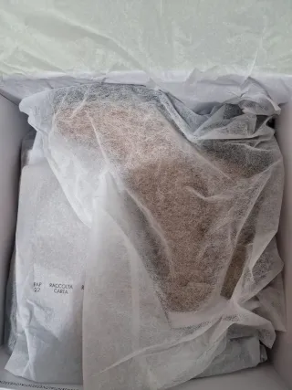 Botines Carmela tacón ancho y plataforma