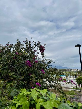 iPhone 16 Pro 128GB Blanco | Como Nuevo