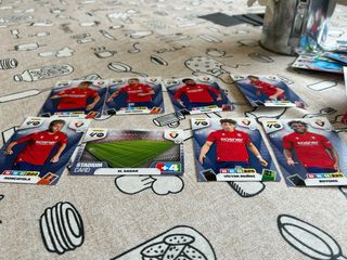 Cromos Adrenalyn XL por Categorías