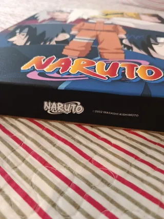 Cuadro Decorativo Naruto