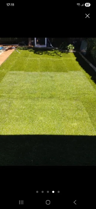 Jardinero profesional en general 644052791