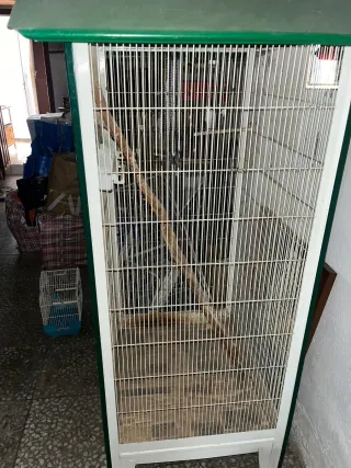 Jaulón grande para pájaros