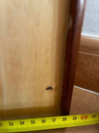 Espejo Clásico Madera 76x58cm