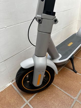 Patinete Eléctrico Ninebot Segway Kickscooter Max
