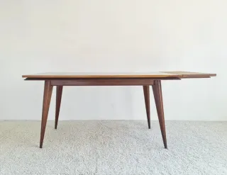 Mesa de salón extensible Mid Century. Francia 60s.