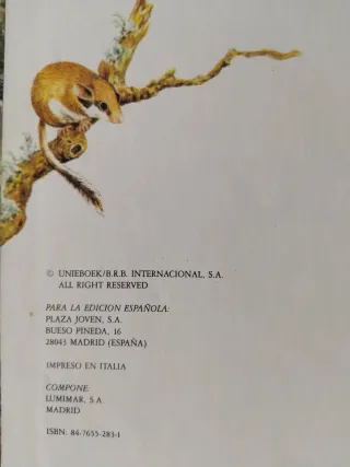 “GNOMOS LIBRO ILUSTRADO CLÁSICO"