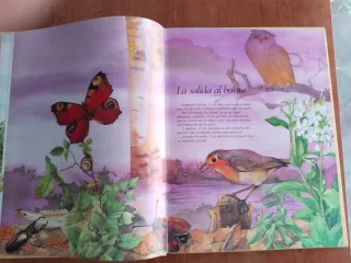 “GNOMOS LIBRO ILUSTRADO CLÁSICO"