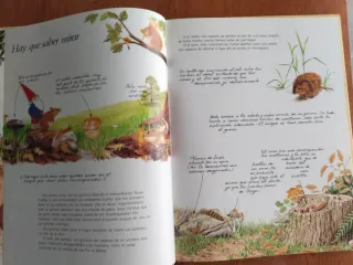 “GNOMOS LIBRO ILUSTRADO CLÁSICO"