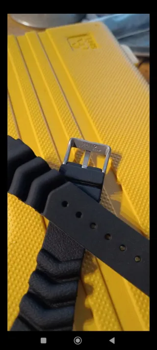 Correa Seiko 22mm Negra