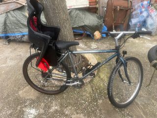 Bicicleta Trek con sillita para niños