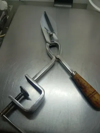 Tijeras de carnicero con tornillo