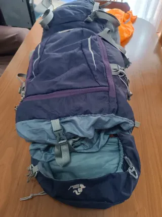 Mochila de viaje Trekking 60L Purple/gris