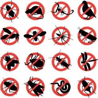 Tratamiento de plagas