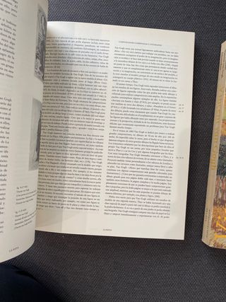 Dibujos y Pinturas Vincent Van Gogh