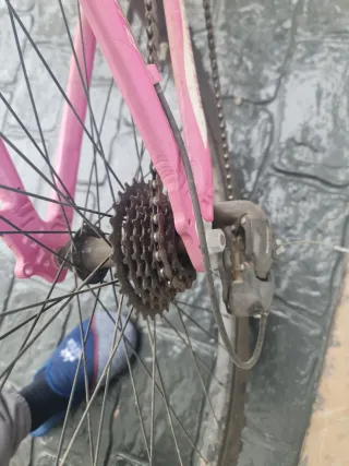 Bicicleta Niña Rosa WENTI 20