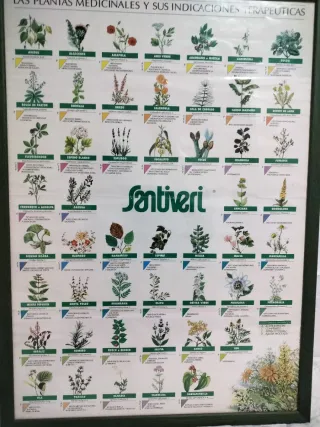 Cuadro Plantas Medicinales Santiveri