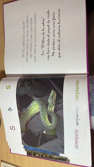 Animales de la A a la Z (Spanish Edition)