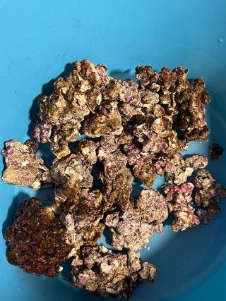 Roca viva para acuario