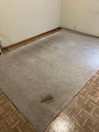 Alfombra IKEA STOENSE 200x300 cm