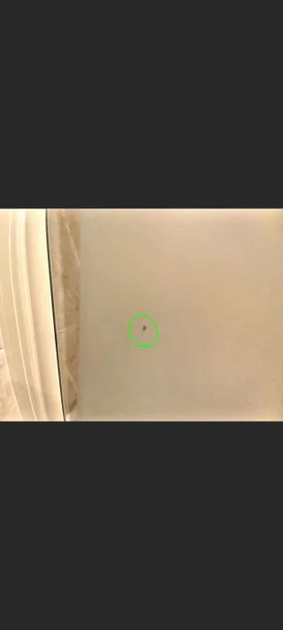 Mampara da bagno in vetro