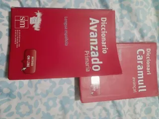 Diccionario caramull