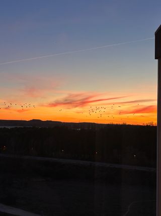 Alquiler habitación para  el eclipse