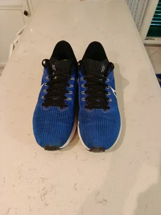 Nike Zoom Pegasus 39 Scarpe da Corsa Blu