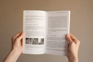 Sobre la imagen poética. Correspondencia