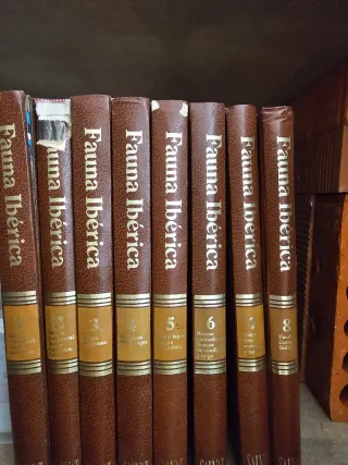 Fauna ibérica de Félix Rodríguez de la  Fuente